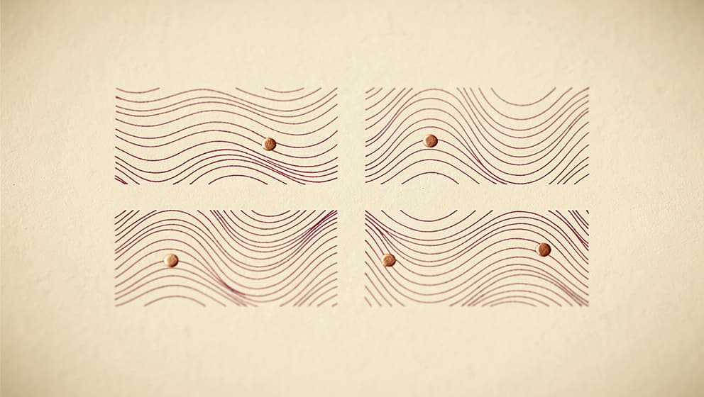 Abstract editorial diagram on cream backdrop, four subcutaneous tissue cross-section regions arranged in a 2x2 grid, copper accent dot within each region marking a primary peptide injection site